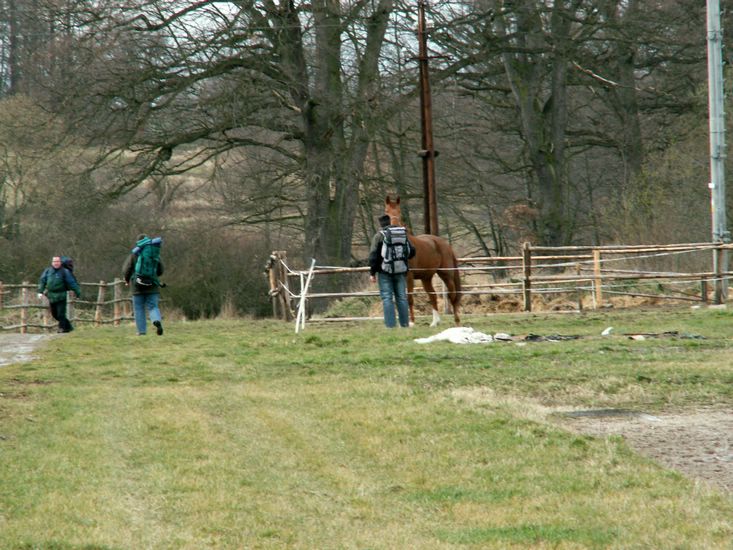 080322_PICT0036.JPG