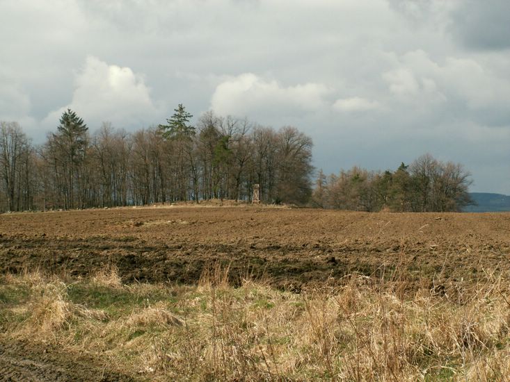 080322_PICT0044.JPG