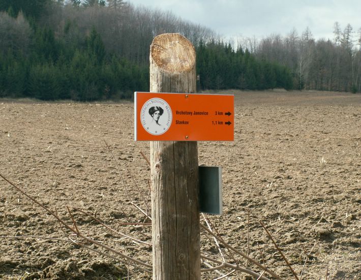 080322_PICT0046.JPG