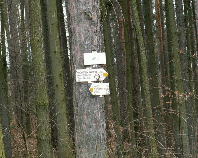 080322_PICT0047.JPG