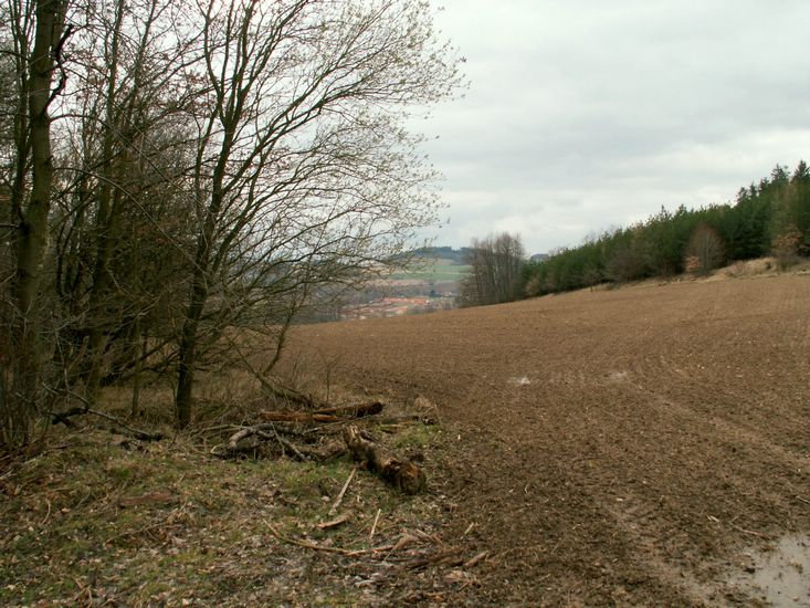 080322_PICT0049.JPG