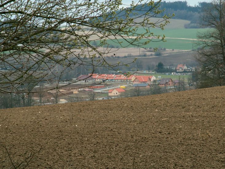 080322_PICT0050.JPG