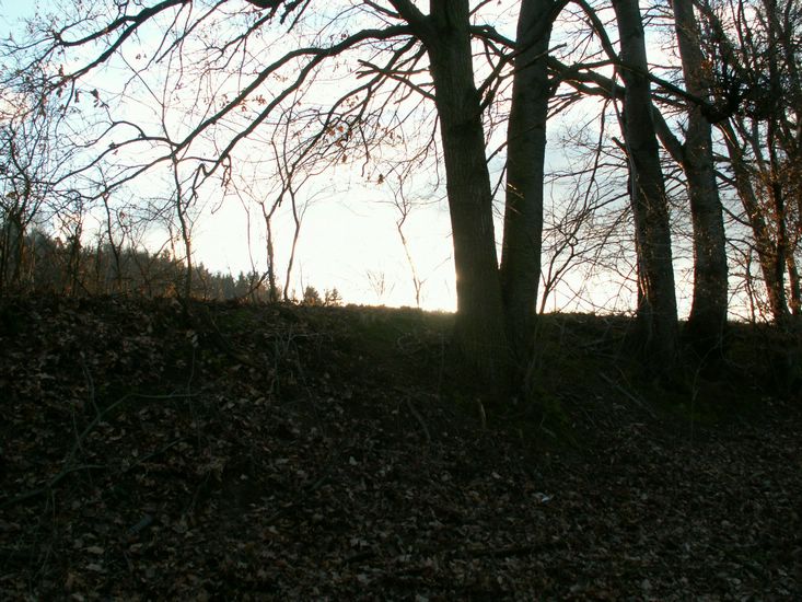 080322_PICT0102.JPG