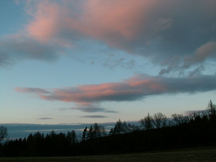 080322_PICT0119.JPG