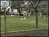 080322_PICT0008.JPG