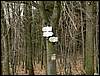 080322_PICT0028.JPG