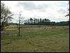080322_PICT0034.JPG