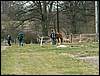 080322_PICT0036.JPG