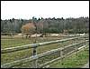 080322_PICT0037.JPG