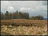 080322_PICT0044.JPG
