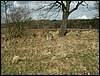 080322_PICT0045.JPG