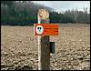080322_PICT0046.JPG