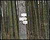 080322_PICT0047.JPG