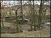 080322_PICT0055.JPG