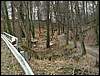 080322_PICT0058.JPG