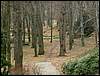 080322_PICT0061.JPG