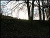 080322_PICT0102.JPG