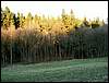 080322_PICT0103.JPG
