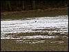 080322_PICT0109.JPG