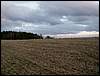 080322_PICT0113.JPG