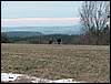 080322_PICT0121.JPG
