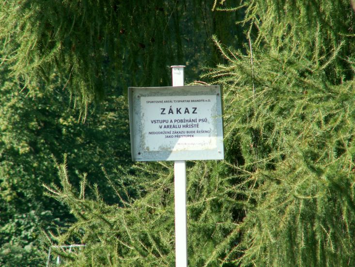 080906_PICT0020.JPG