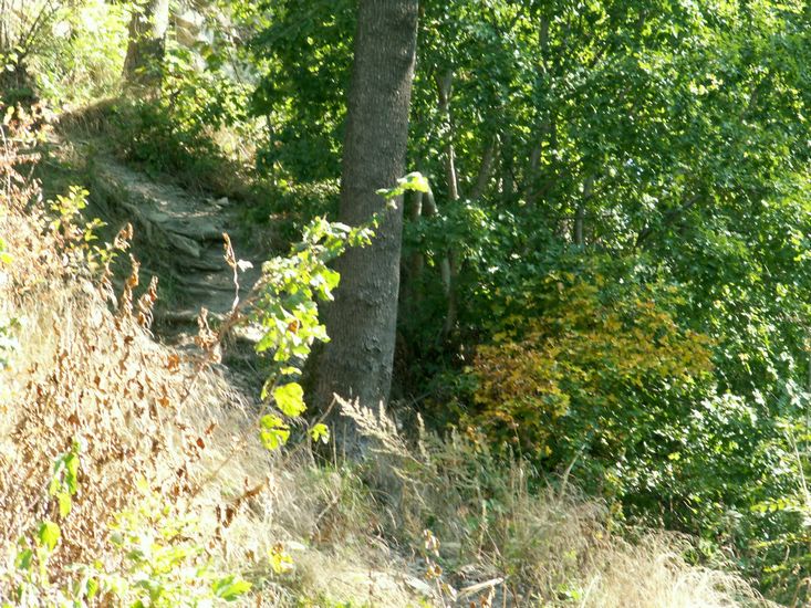 080906_PICT0029.JPG