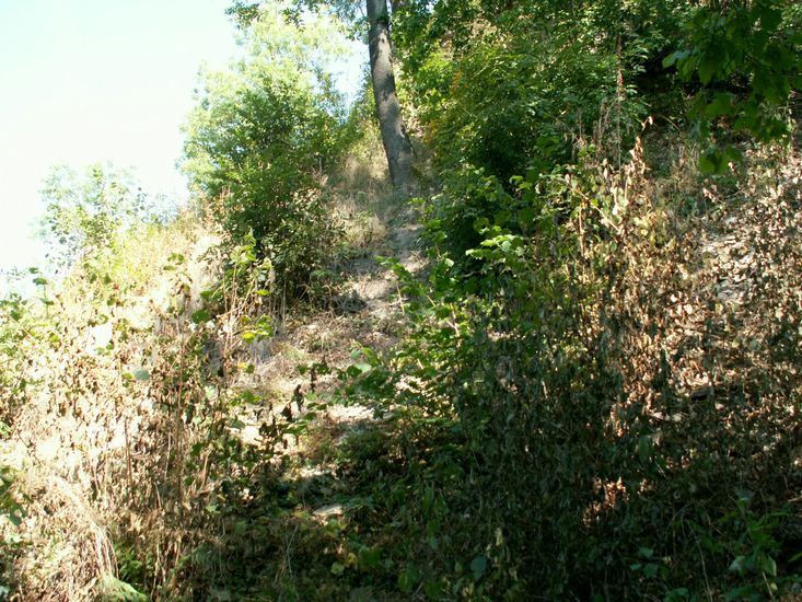 080906_PICT0030.JPG