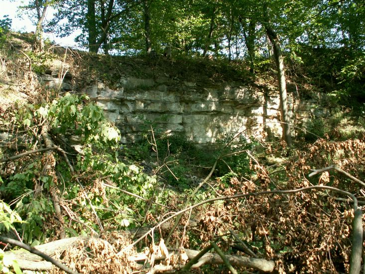 080906_PICT0032.JPG