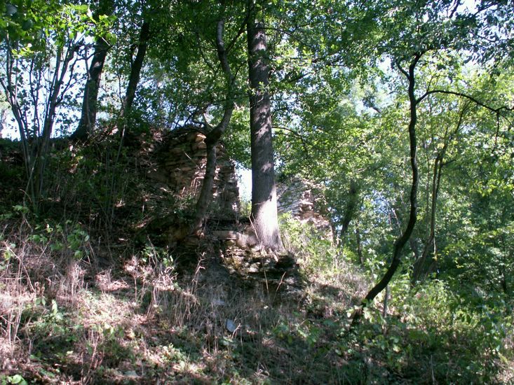 080906_PICT0033.JPG