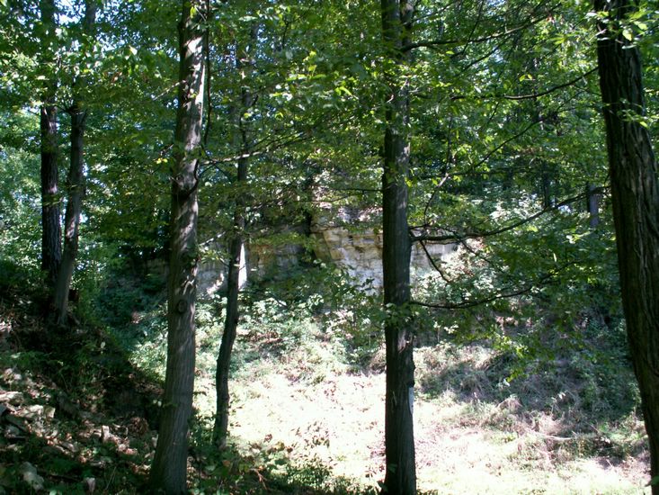 080906_PICT0034.JPG