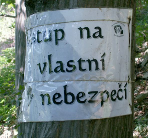 080906_PICT0035.JPG