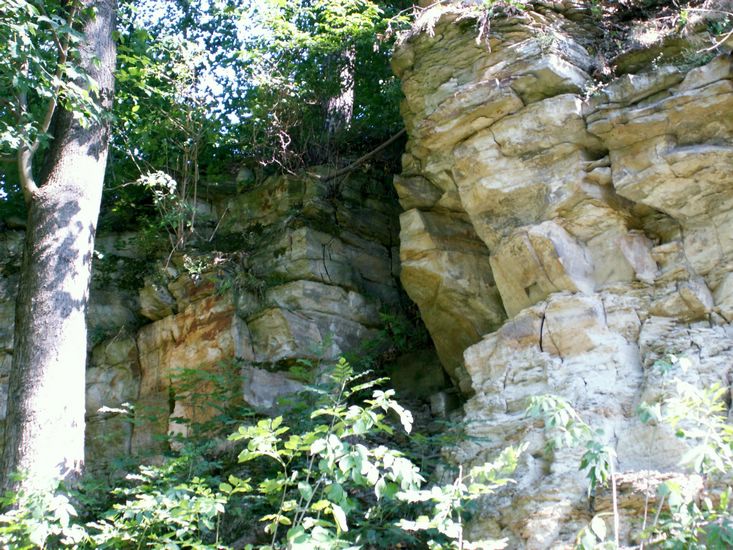 080906_PICT0036.JPG