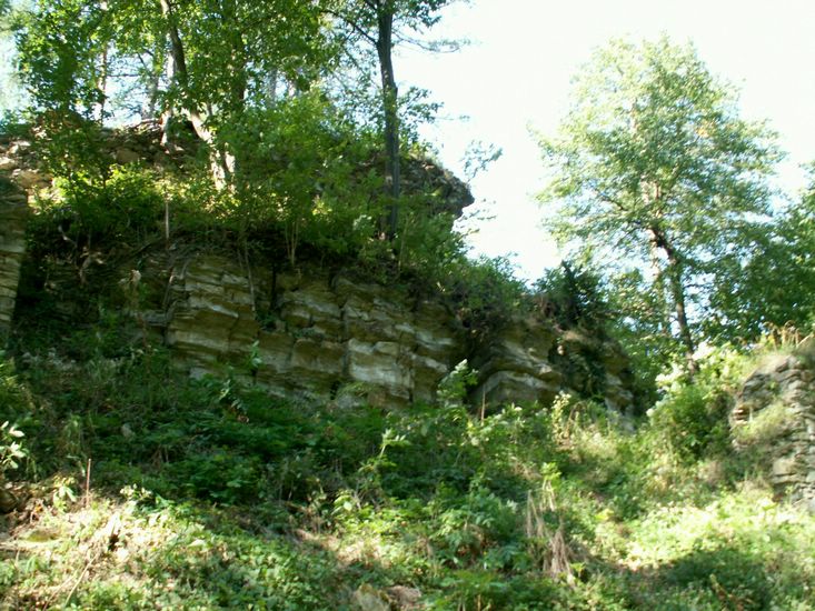 080906_PICT0037.JPG