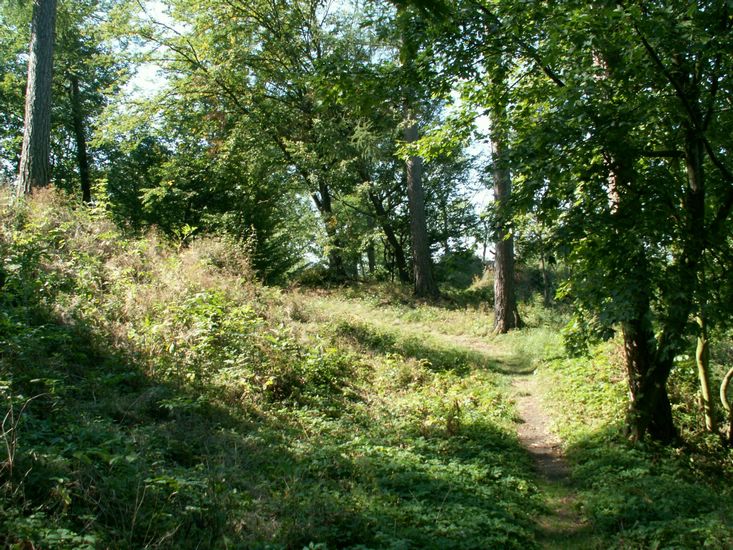 080906_PICT0038.JPG