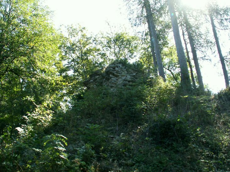 080906_PICT0039.JPG