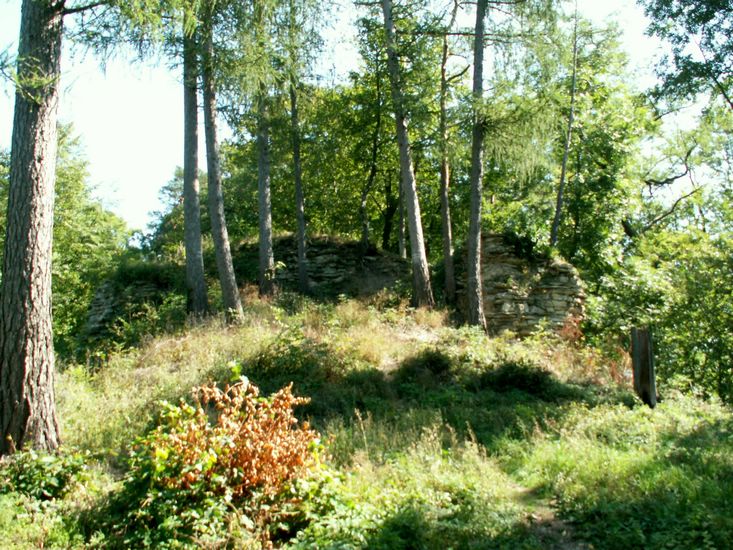080906_PICT0042.JPG