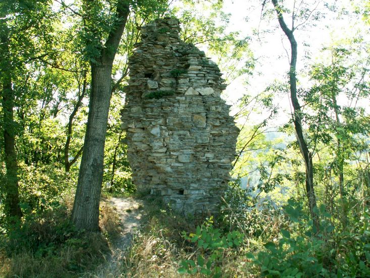 080906_PICT0047.JPG