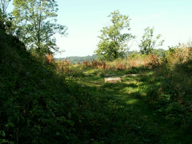 080906_PICT0048.JPG