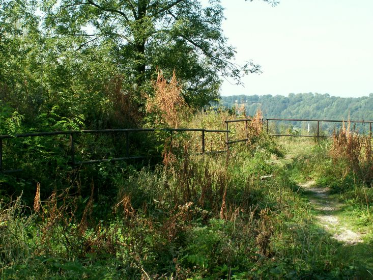 080906_PICT0050.JPG