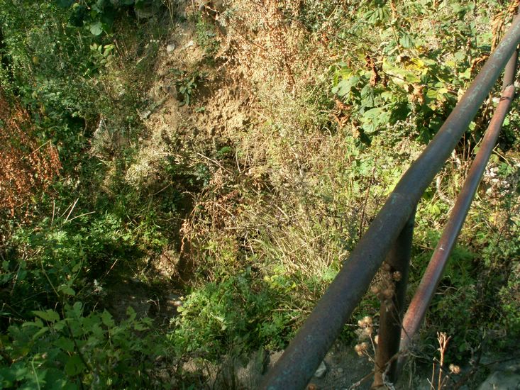 080906_PICT0051.JPG