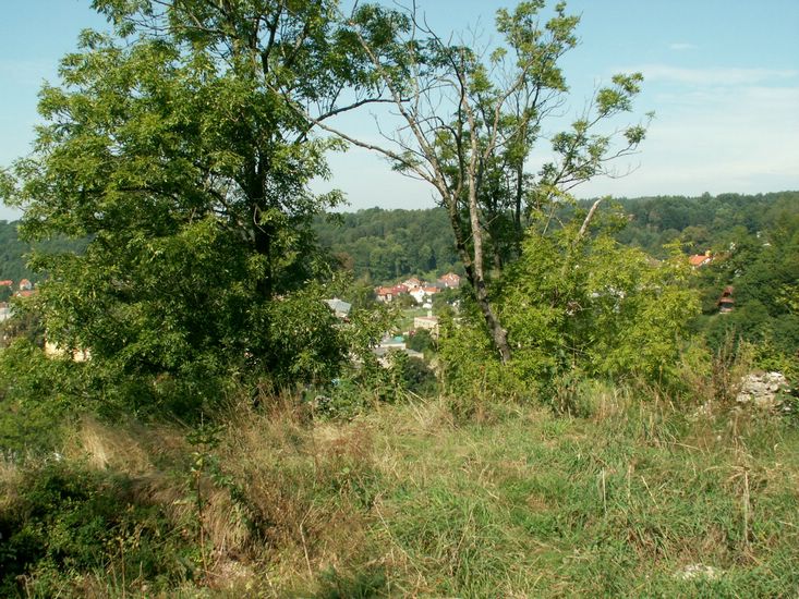 080906_PICT0053.JPG