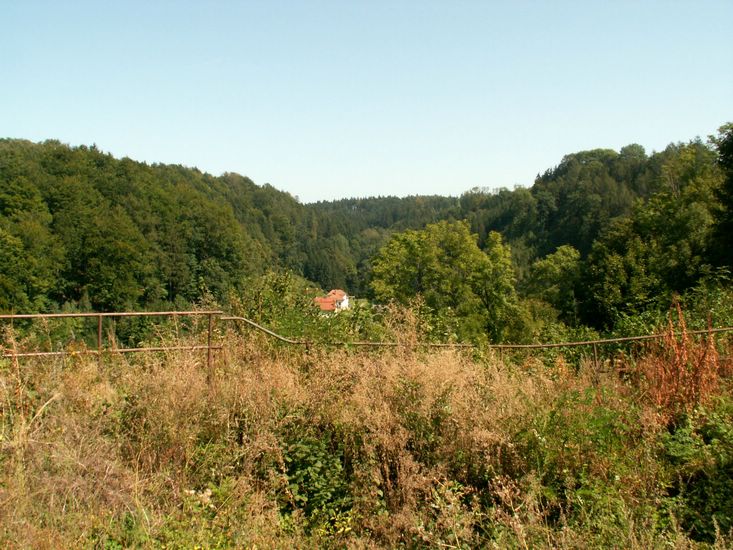 080906_PICT0054.JPG
