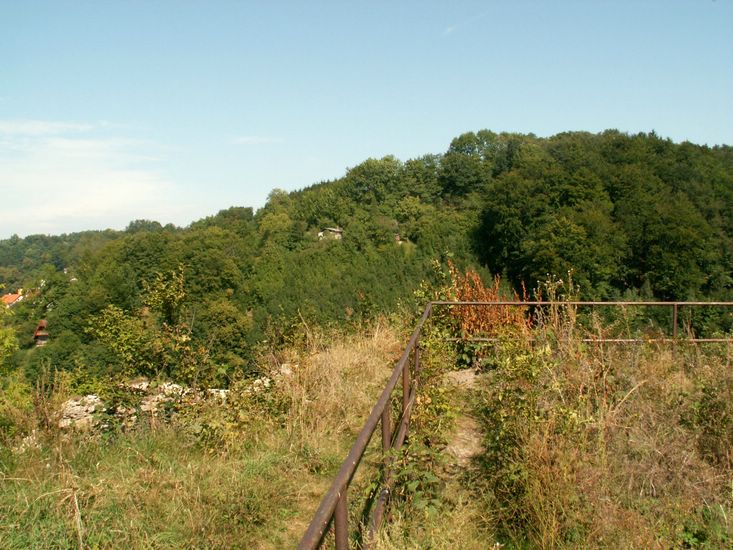 080906_PICT0055.JPG