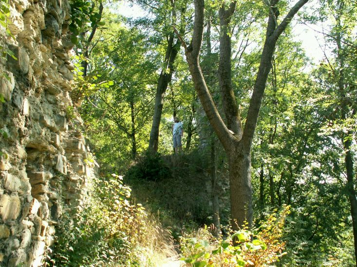 080906_PICT0058.JPG