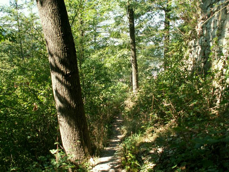 080906_PICT0060.JPG