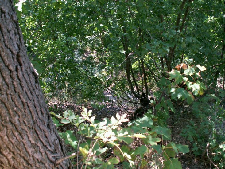 080906_PICT0061.JPG