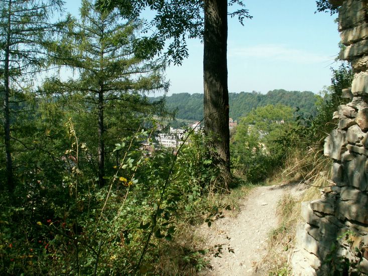 080906_PICT0063.JPG