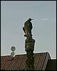 080904_PICT0005.JPG