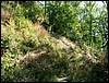 080906_PICT0028.JPG